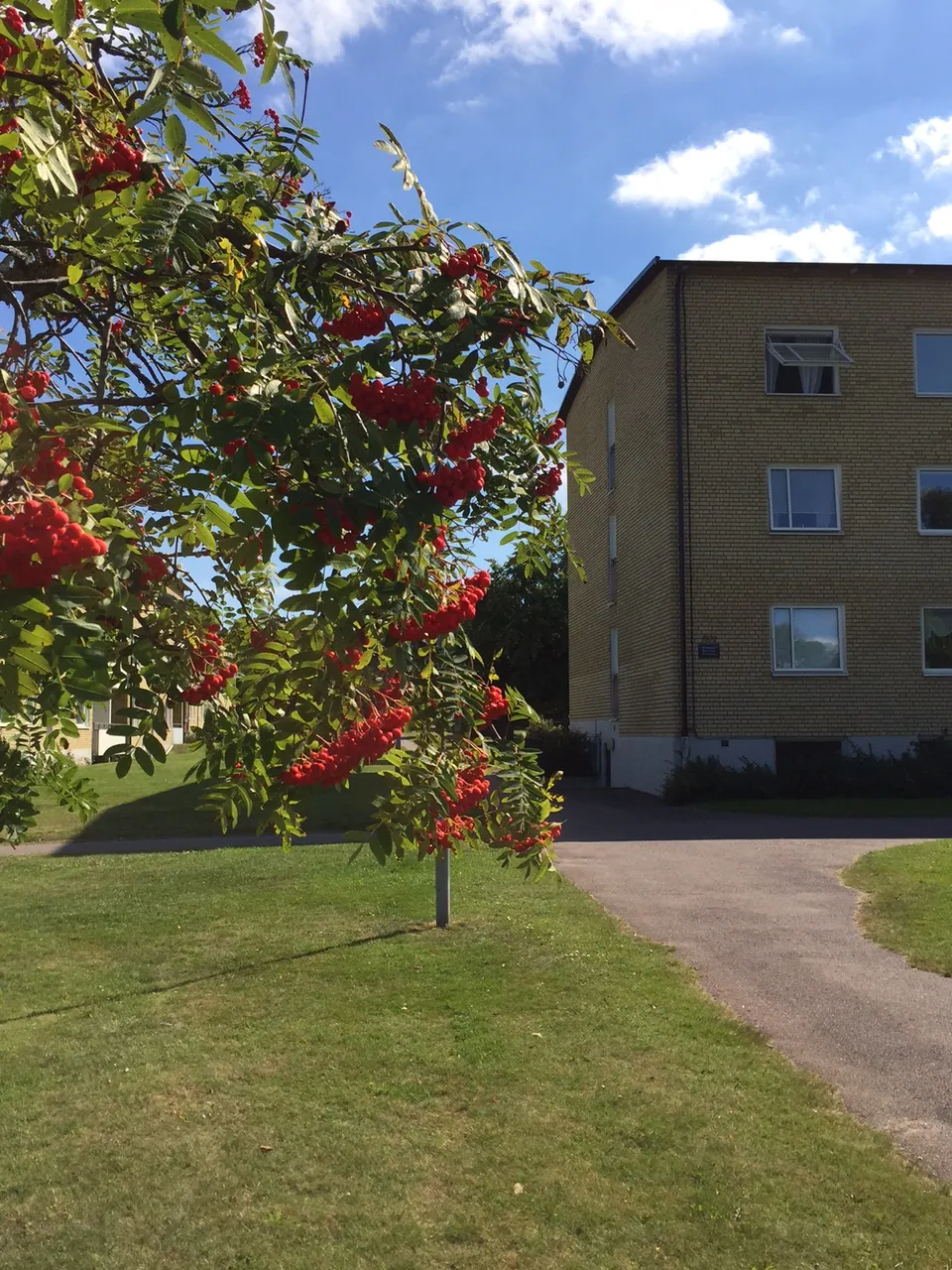 Trollbackevägen i Kalmar