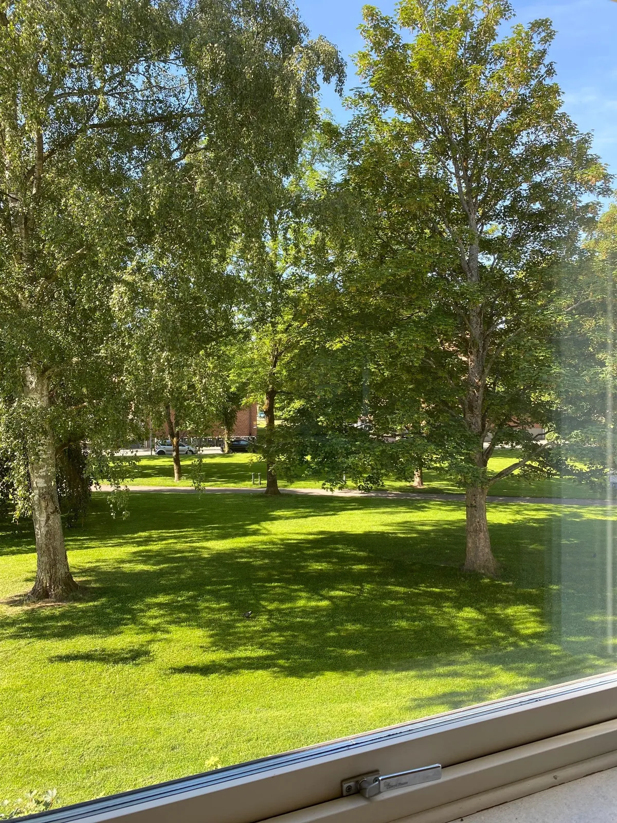 Göingegatan i Hässleholm