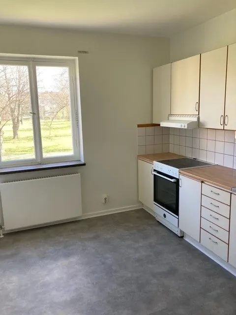 Snapphanegatan i Hässleholm