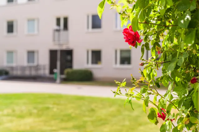Hyreslägenhet på Fogdegatan i Linköping