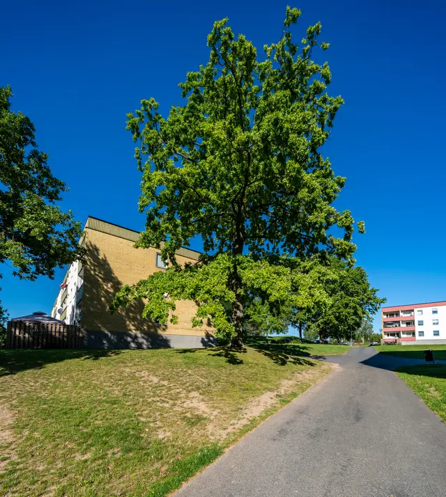 Hyreslägenhet på Motala i motala