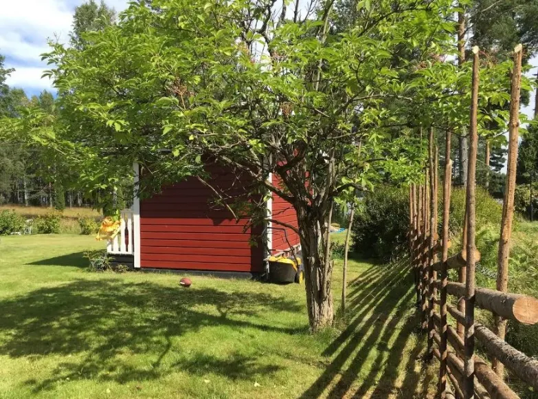 Property image 38