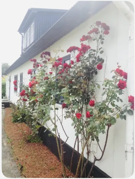 Bostad på Lilla Beddinge kyrkväg i Beddingestrand