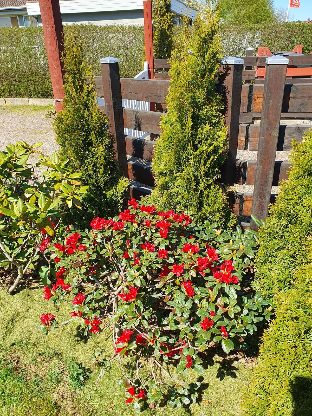 Property image 8