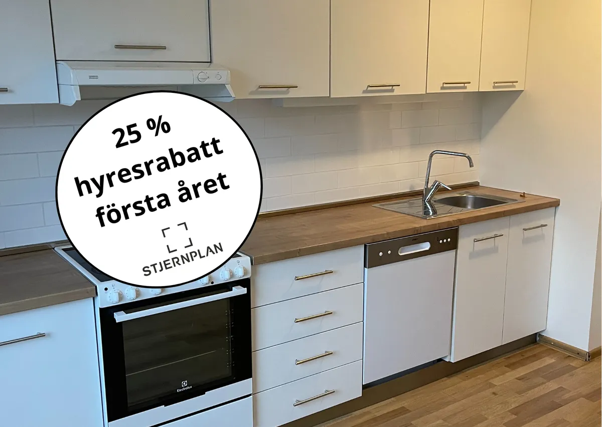 Norra Infartsgatan